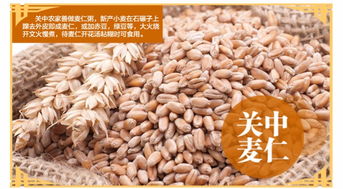 陕北粮仓的宝藏 五谷杂粮里的记忆与味蕾盛宴